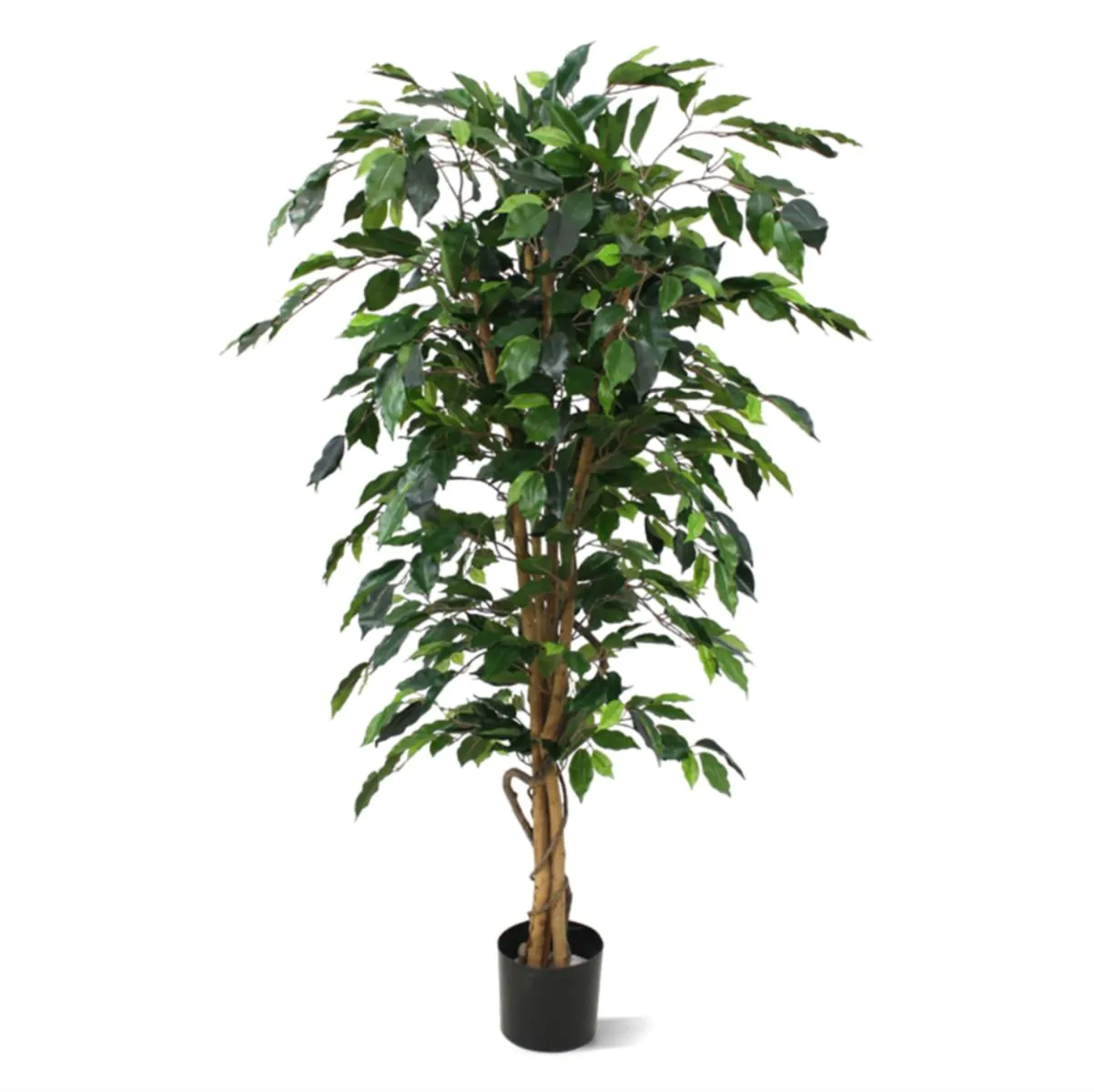 Ficus Benjamini kunstboom, H: 150 cm