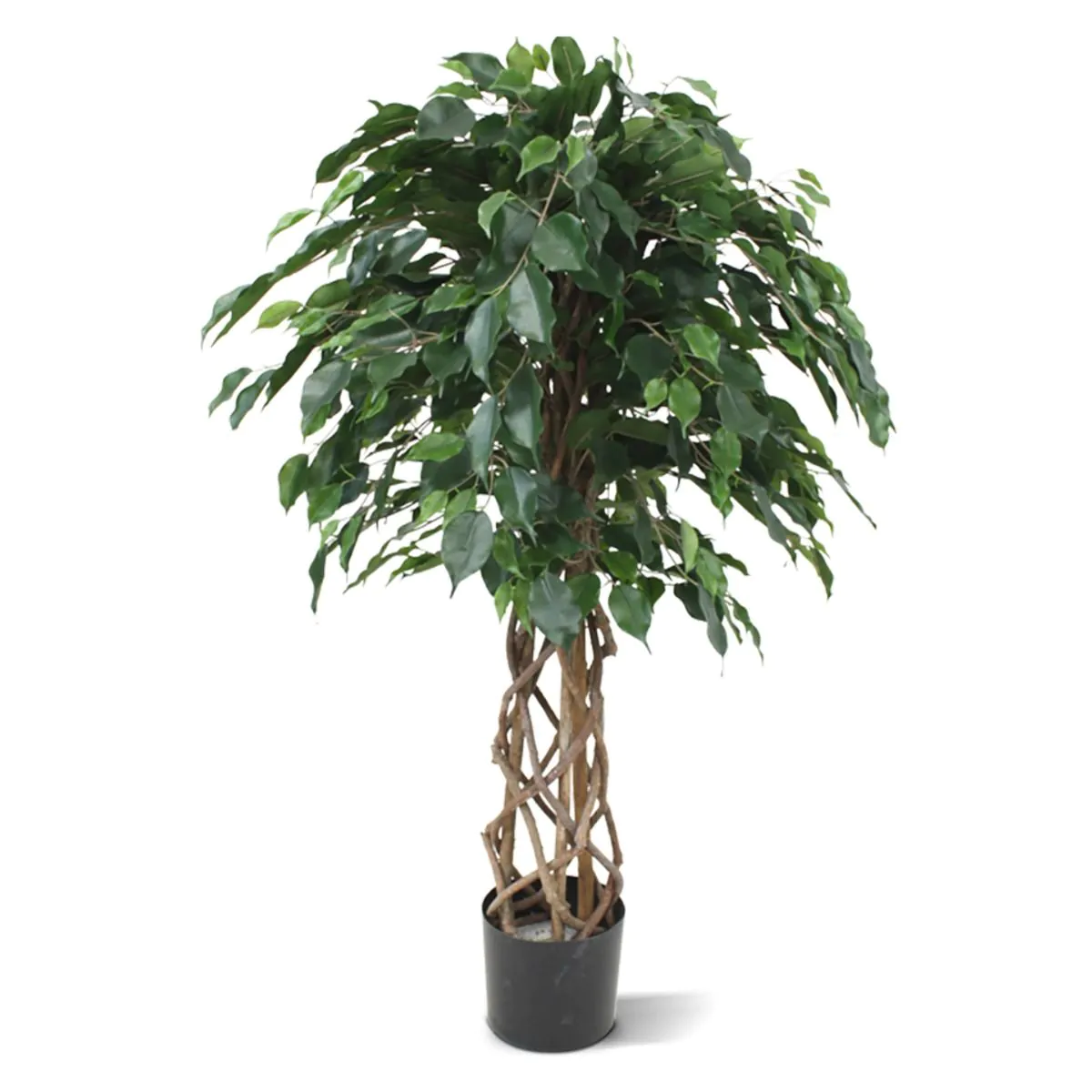 Ficus Exotica bol kunstplant op stam, H: 125 cm