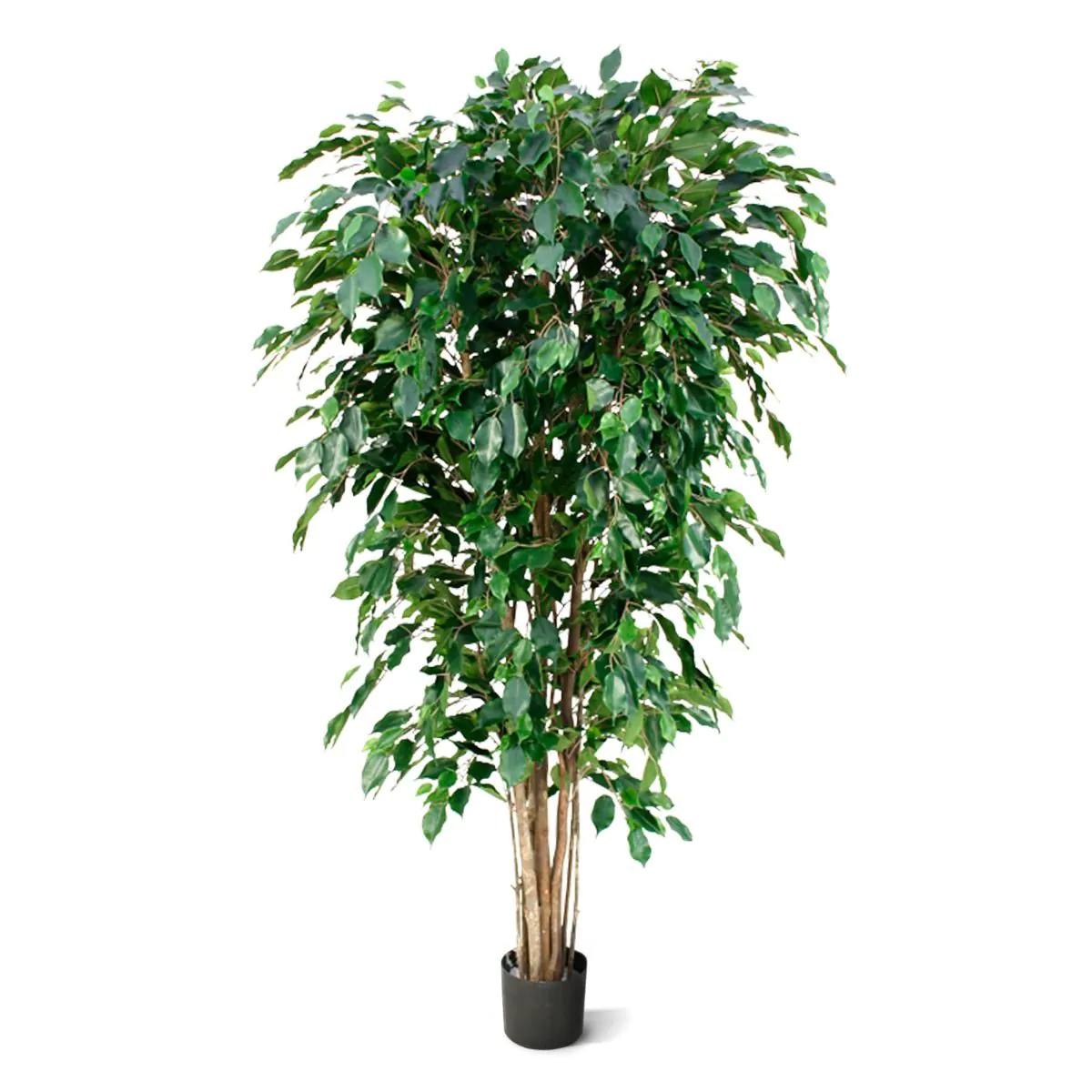 Ficus Exotica deluxe kunstboom, H: 180 cm