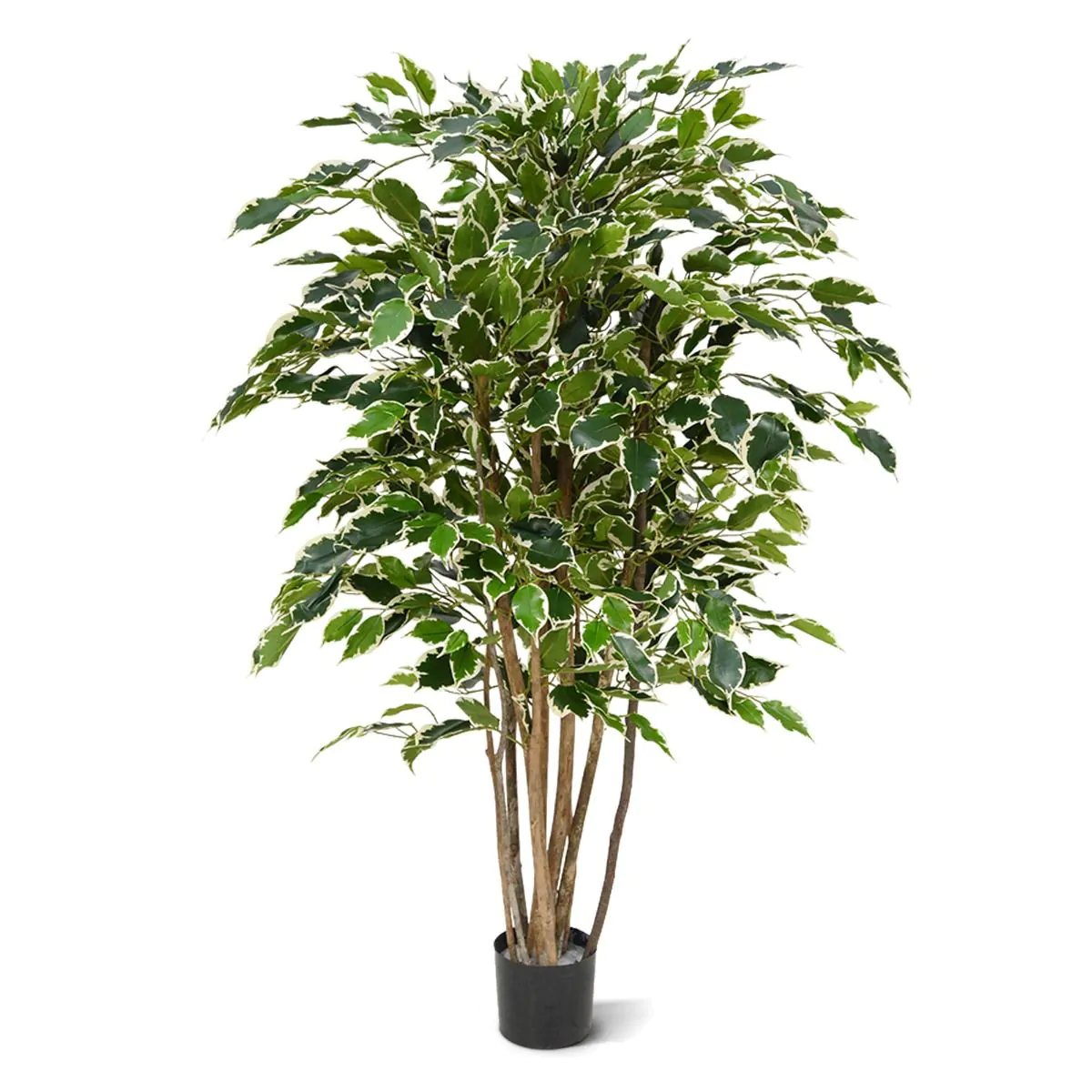 Ficus Exotica deluxe kunstplant H: 125cm - bont