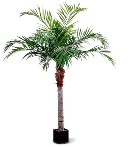 Majesty Giant kunstpalm, H 350 cm