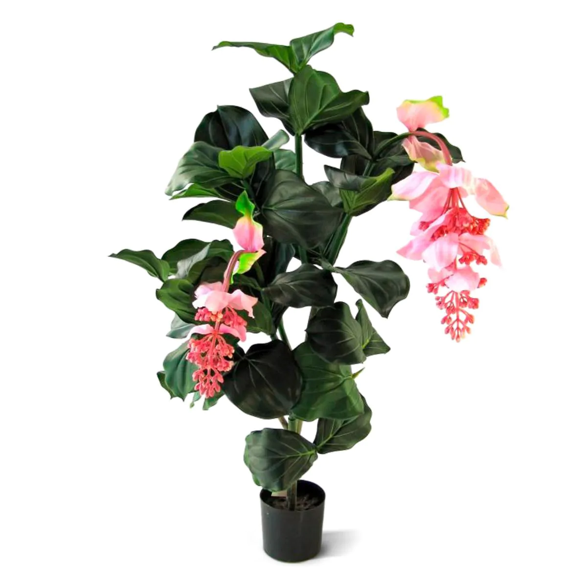 Medinella deluxe kunstplant, H: 90 cm