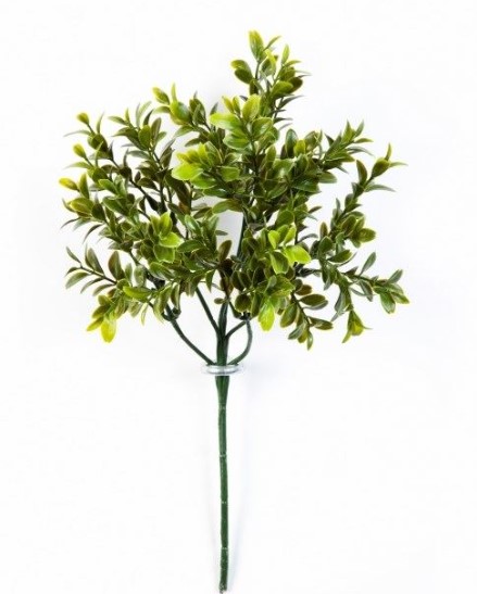 Nieuw Buxus Bladtak H: 47 cm