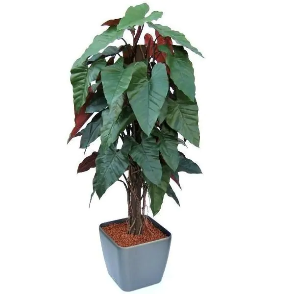 Philodendron deluxe kunstplant, H: 180 cm