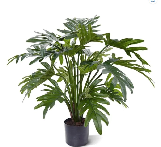 Philodendron Xanadu kunstplant, H: 50 cm