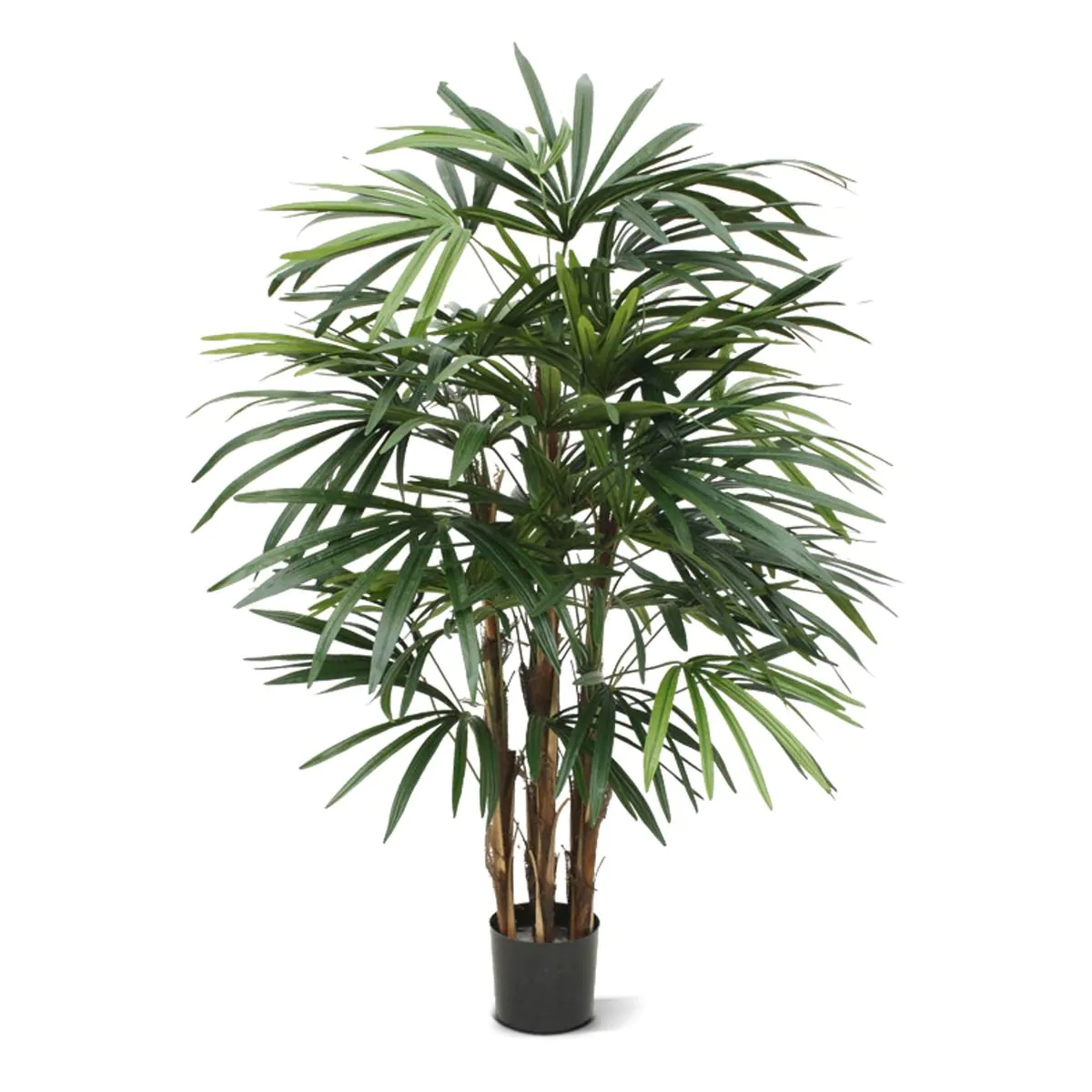 Raphis deluxe kunstpalm, H: 100 cm