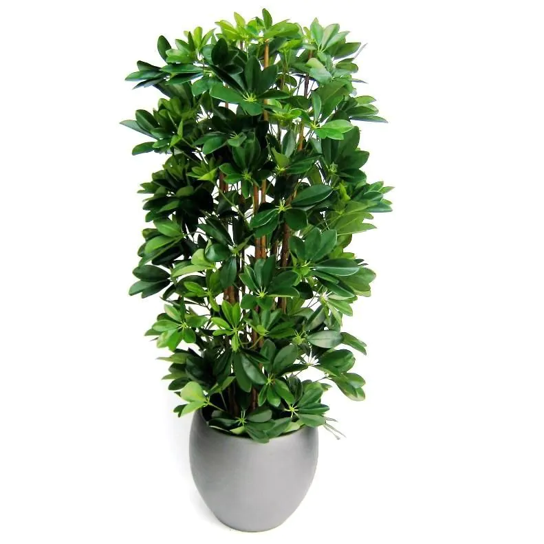 Schefflera kolom kunstplant H: 120cm