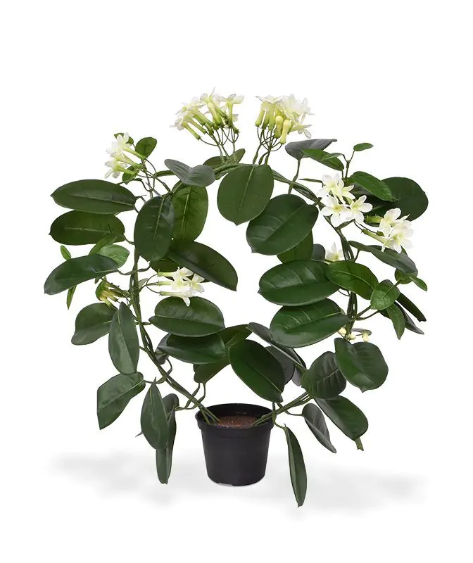 Stephanotis kunstplant, H: 40 cm