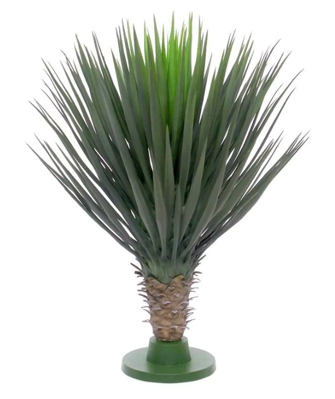 Yucca Rostrata kunstplant, H: 80 cm