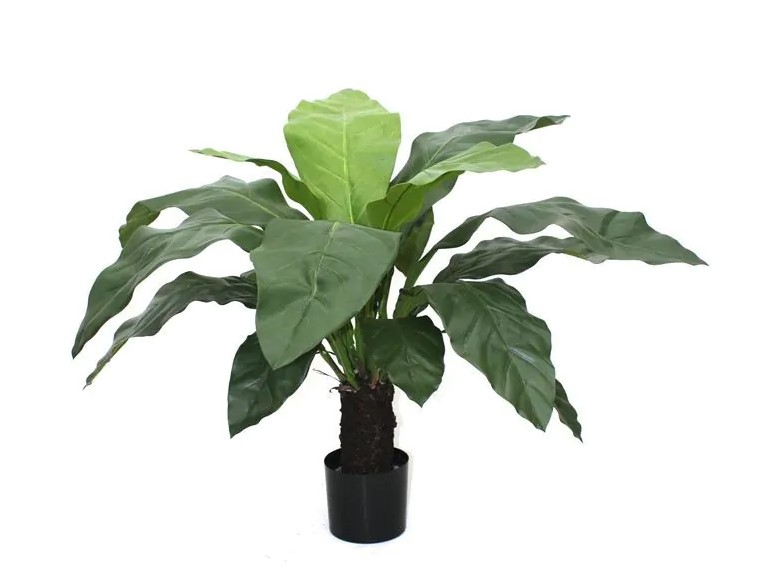 Anthurium Jungle King kunstplant, H: 100 cm