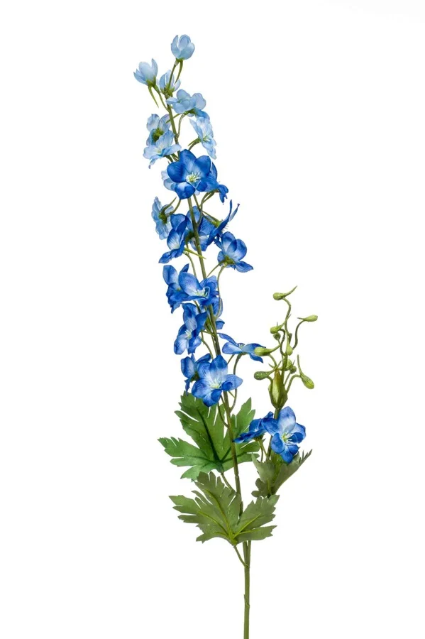 Delphinium, blauw, H: 77cm