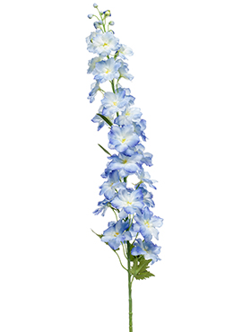 Delphinium, Tak Blue, H: 128cm, B: 14cm, potmaat: 0cm