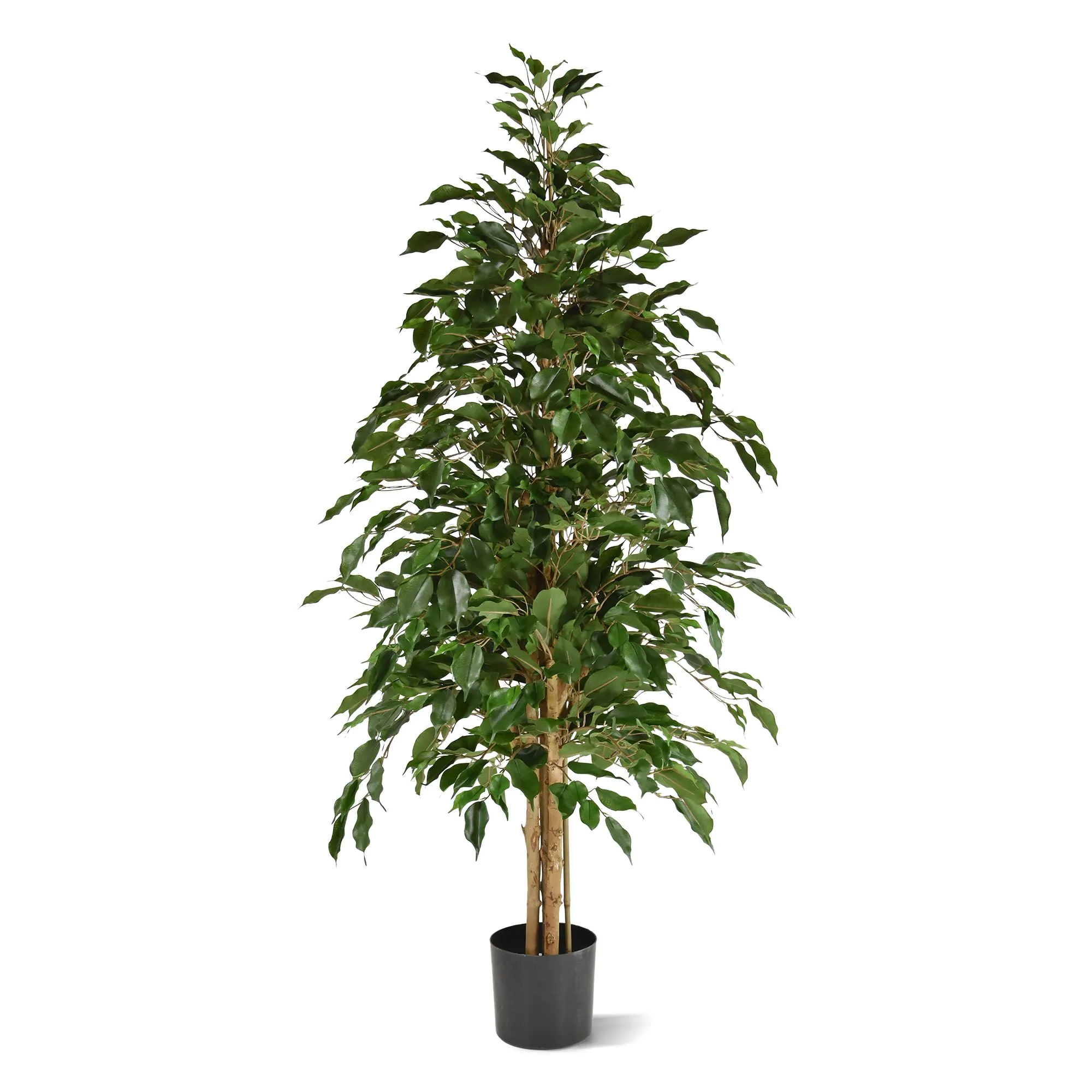 Ficus Exotica kunstboom, H:150cm